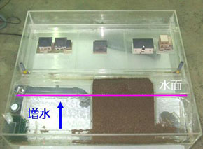 越流破堤模型洪水発生